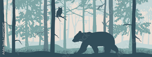 Horizontal banner. Forest landscape. Bear in magic misty forest. Owl on branch. Silhouettes of trees and animals. Blue background, illustration. 