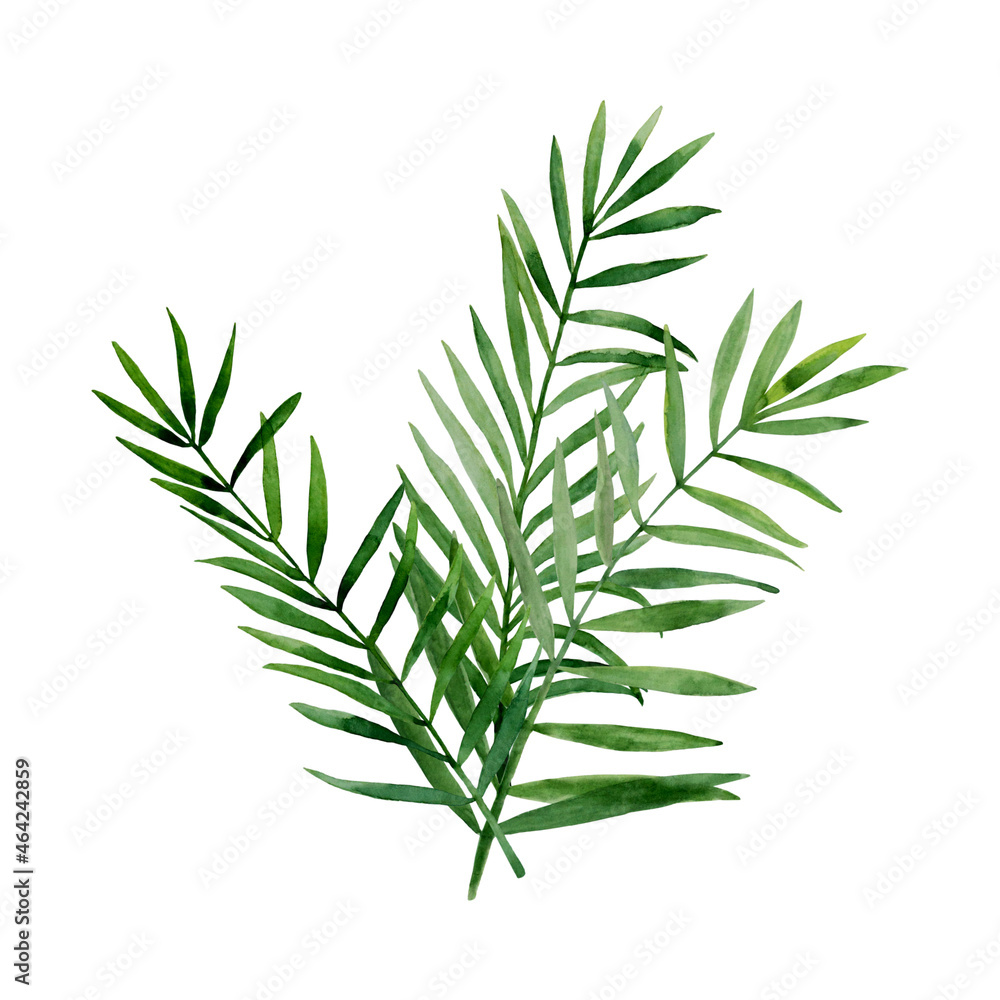 Fototapeta premium Green palm leaves bouquet. Tropical twigs, branches set. Moody jungle florals. Watercolor free-hand illustration for postcard, invitation, banner, event flyer, poster, presentation, menu, lifestyle
