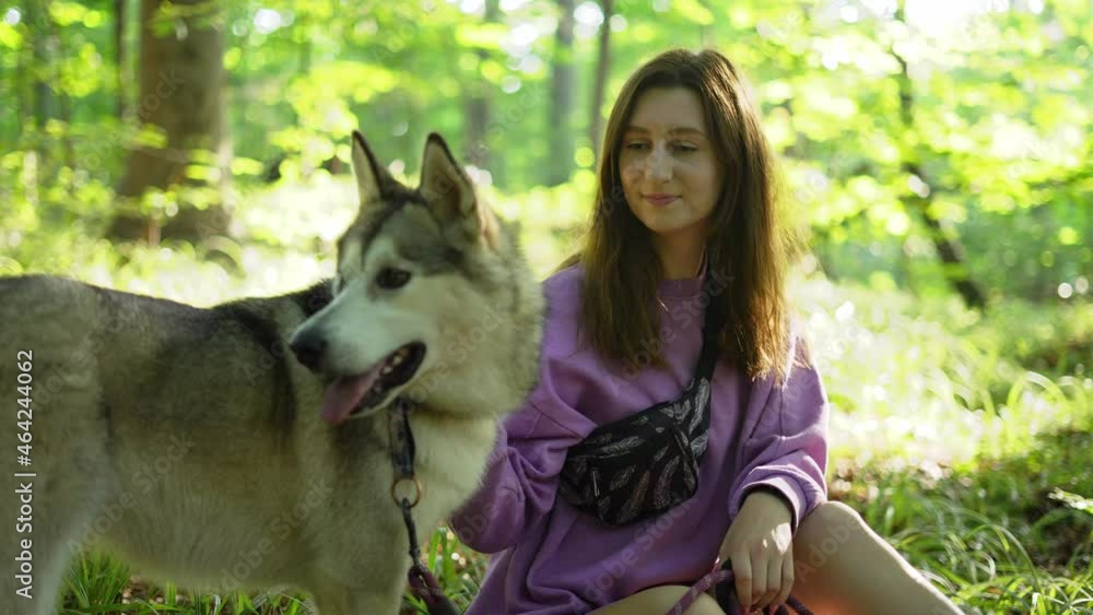 close up 4k portrait of young woman playing with her nice and adorable alaskan malamute puppy in the woods close up 4k portrait of young woman playing with her nice and adorable alaskan malamute puppy in the woods