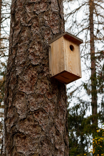 The bird house is hanging on a tall tree. The concept of environmental protection