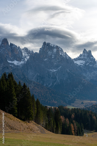 Fall colored and foliage on dolomites