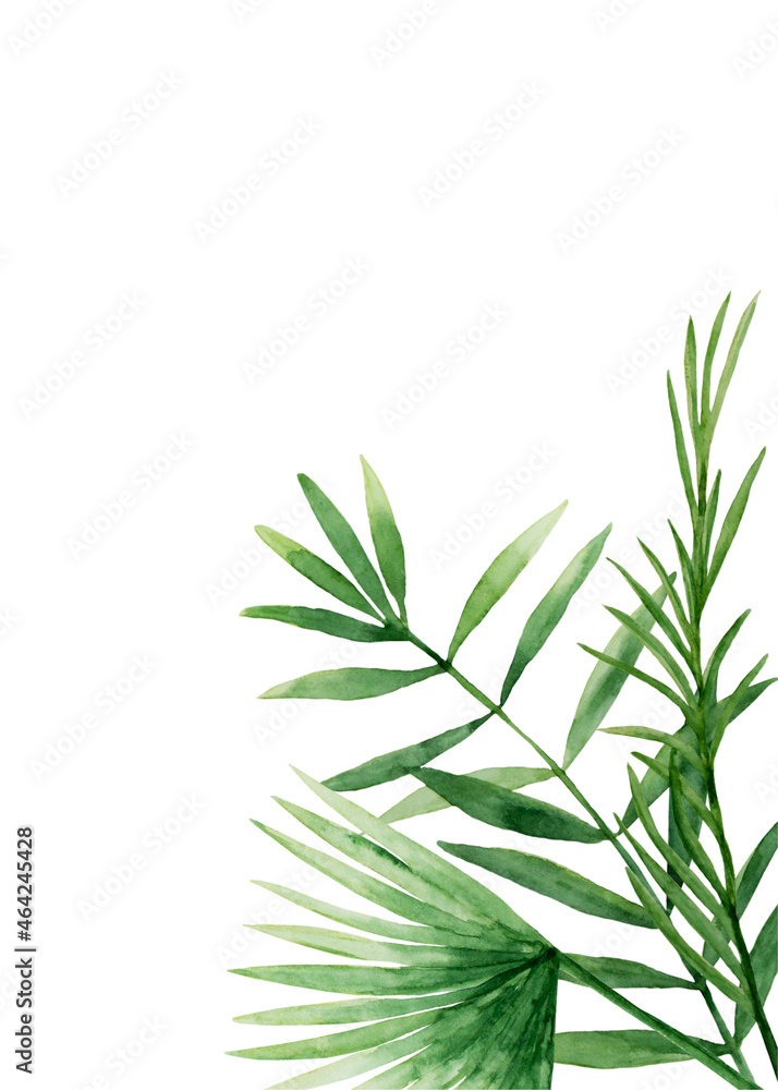 Tropical leaves card template. Green palm jungle florals. Watercolor free-hand illustration for card, wedding invitation, banner, event flyer, poster, presentation, menu, lifestyle Tropical leaves card template. Green palm jungle florals. Watercolor free-hand illustration for card, wedding invitation, banner, event flyer, poster, presentation, menu, lifestyle