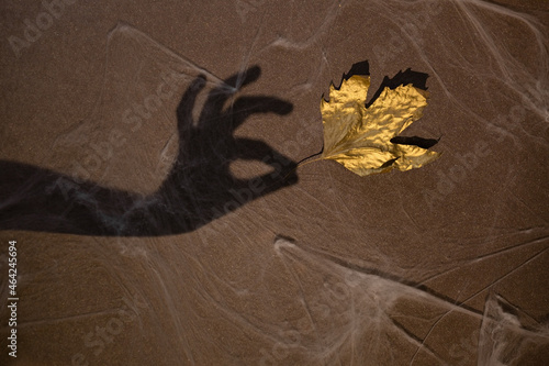 A dry maple leaf gold  in the hand of a hand shadow on a brawn wall background. The concept of mystery, otherworld, halloween, autumn. photo