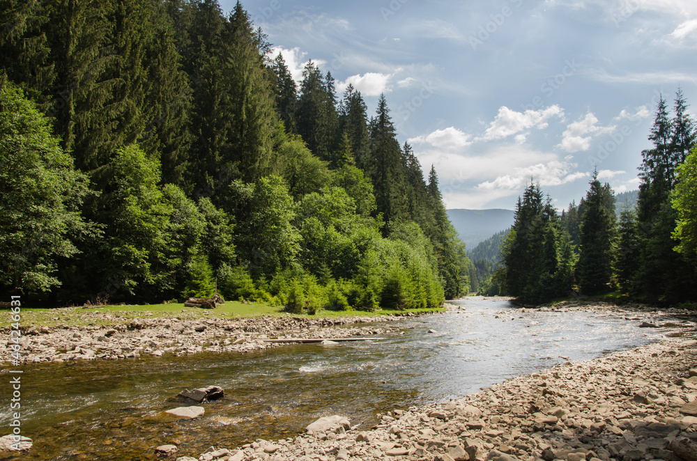 Obraz premium A river in the forest against the background of old green pines. Magnificent landscape of highlands