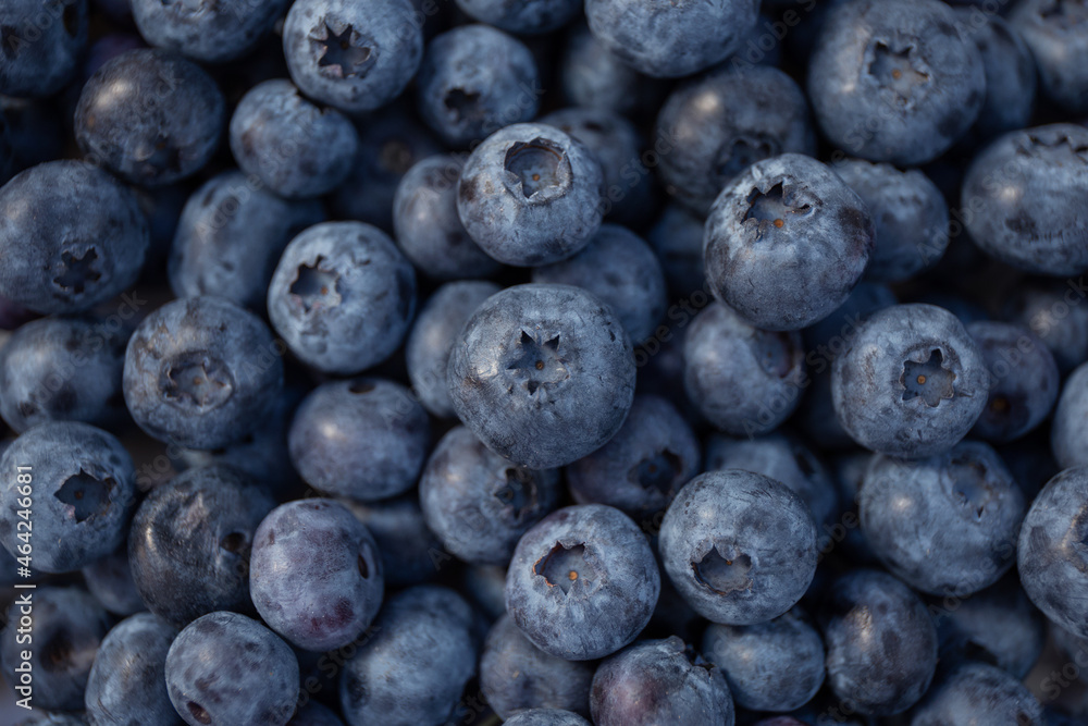 fresh fruit blueberries scattered background fresh fruit blueberries scattered background