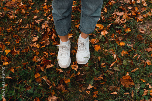 Women's legs in jeans and white sneakers on ground covered with fallen yellow leaves, top view. Autumn hello october concept