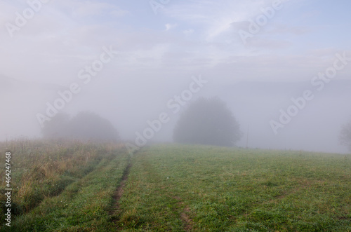 beautiful landscape of early autumn. Misty mountains in September. green trees with fog on background