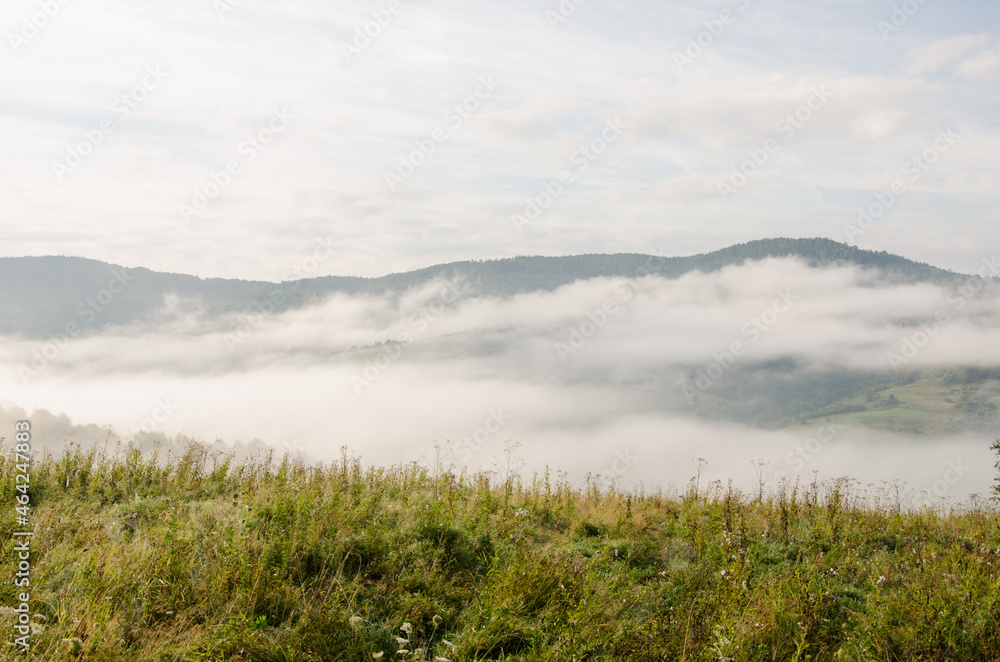 beautiful landscape of early autumn. Misty mountains in September. green fields with fog on background