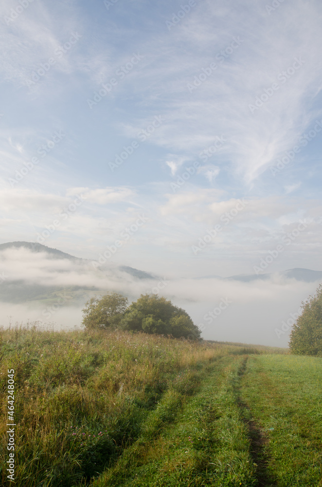 beautiful landscape of early autumn. Misty mountains in September. green trees with fog on background