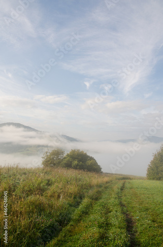 beautiful landscape of early autumn. Misty mountains in September. green trees with fog on background