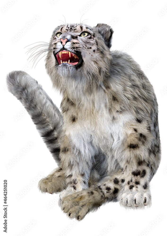 Fototapeta premium 3D Rendering Snow Leopard on White