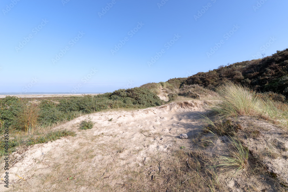 Sand dunes in the coastal path near Cayeux-sur-Mer village
