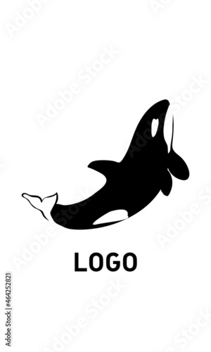 Logotype fish jumping out of the water. Black and white logo silhouette of orca or whale killer. Nice shape