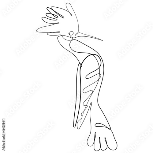 Bird (woodpecker) line art in vector. Continuous one line drawing of woodpecker silhouette isolated on white background. Bird for company logo identity. Illustration for magazine, background, logotype photo