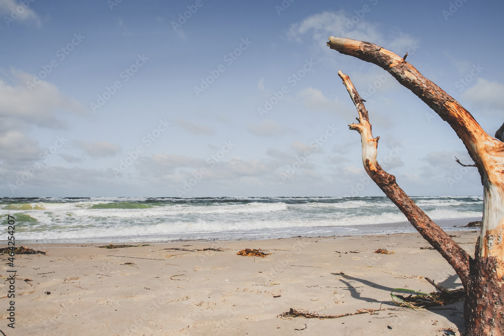 Weststrand Fischland Darß