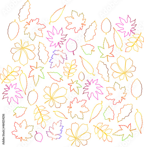 Herbst autumn 2021