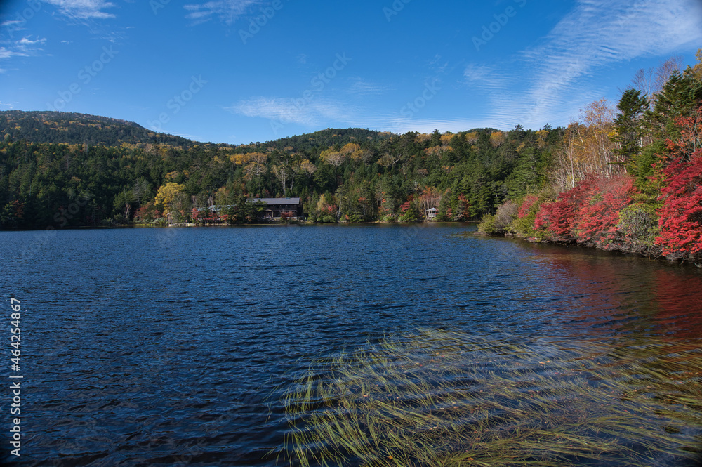 水, 湖, 紅葉, 風景, 自然, 川, 空, 秋, 木, 青, 森, 緑, いけ, 木, 草, 雲, 葉, 夕焼け, 季節, 公園, 美しい