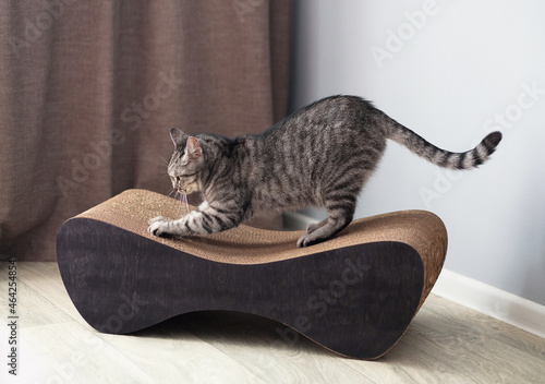 Scratching post