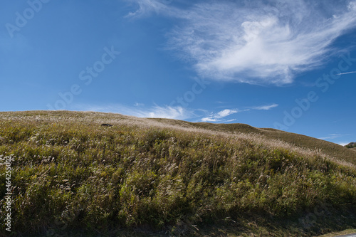 風景, 空, 自然, 山, 雲, 草, 緑, 青, 全景