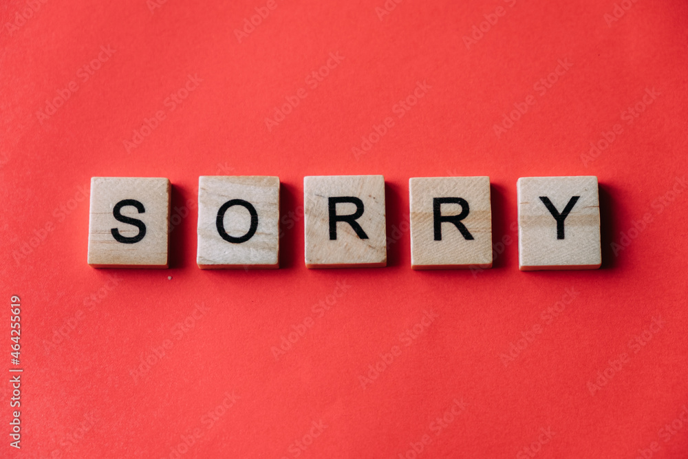 The word Sorry written in wooden blocks with letters on a red paper background. Copy space The word Sorry written in wooden blocks with letters on a red paper background. Copy space