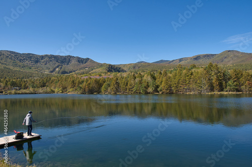 水, 湖, 紅葉, 風景, 自然, 川, 空, 秋, 木, 青, 森, 緑, いけ, 木, 草, 雲, 葉, 夕焼け, 季節, 公園, 美しい