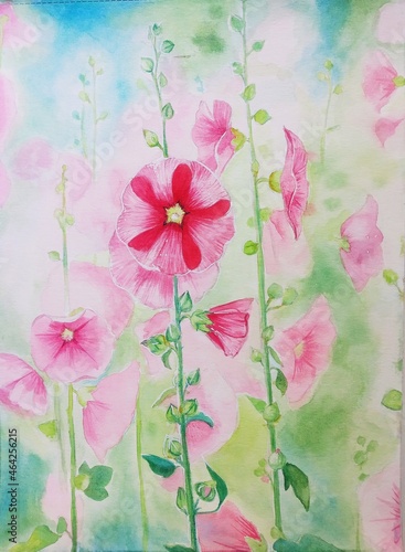 Hand drawn watercolor painting of hollyhocks. Flower painting for illustration, print, background, etc