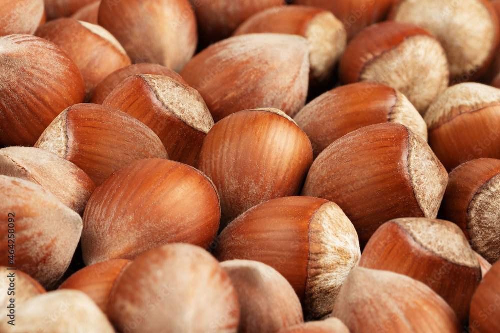 hazelnuts background. food background, texture, selective focus. hazelnuts background. food background, texture, selective focus.
