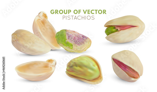 Salted pistachios isolated on white background. 3d vector pistache kernel. Realistic dry nuts shell. Snack plant illustration.