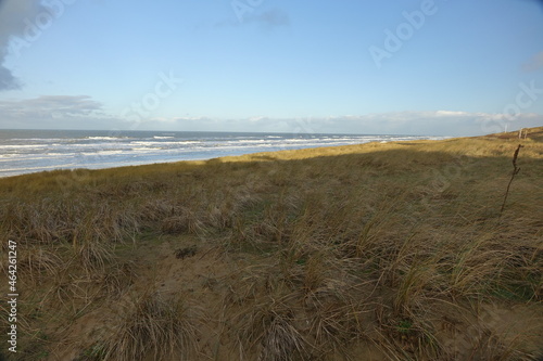 Fascinating light and shadow play in the North Sea beach dunes on a sunny stormy winter morning, Egmond aan Zee, North Holland, Netherlands 