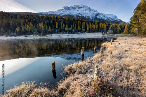 switzerland, canton graubunden, engadin, lake staz