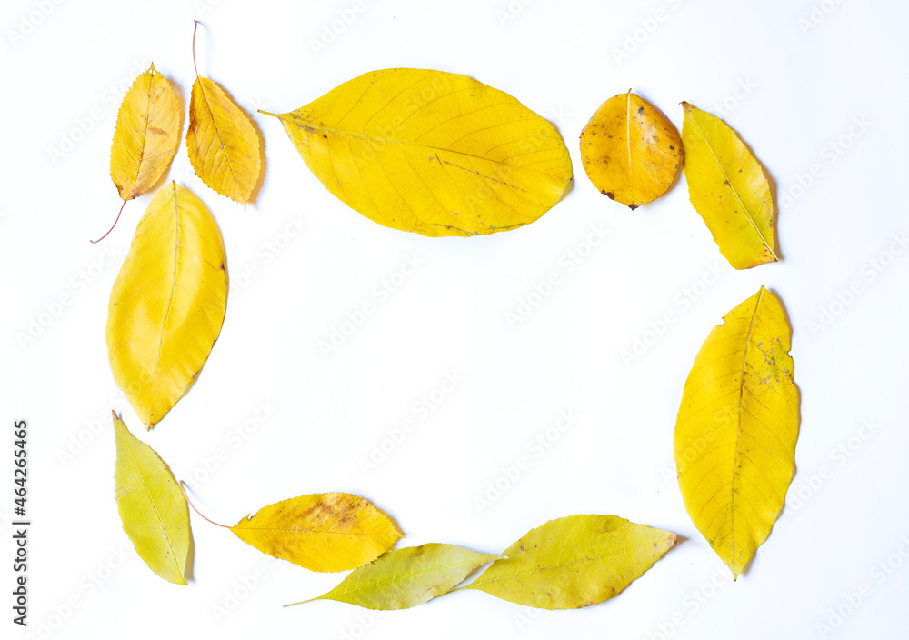 Yellow leafs forming frame isolated on white background
