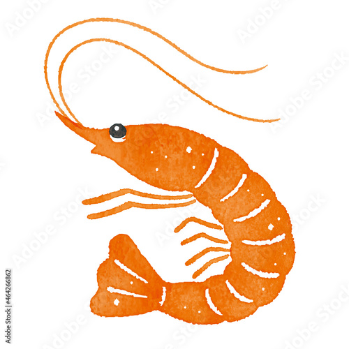 橙色の海老
