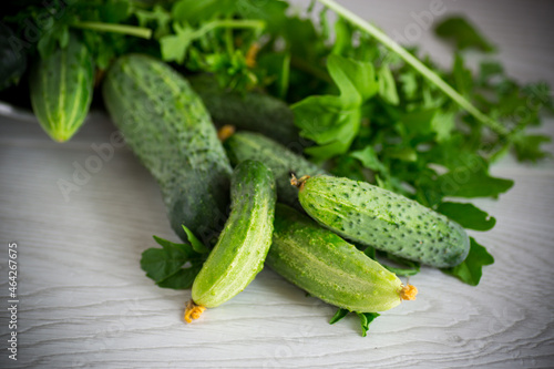 organic cucumbers with herbs on a wooden table