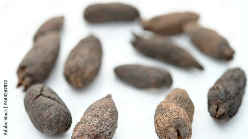angle view herb MuDingXiang or Flos Caryophyllata or Clove rotating angle view herb MuDingXiang or Flos Caryophyllata or Clove rotating