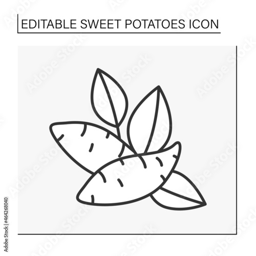  Superfood line icon. Organic healthy energetic food for balanced nutrition. Detox and weight loss supplements. Vegetarian food.Sweet potato concept. Isolated vector illustration. Editable stroke