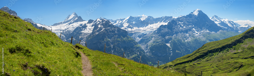 stunning mountain view from Grindelwald First hiking path to bernese alps switzerland