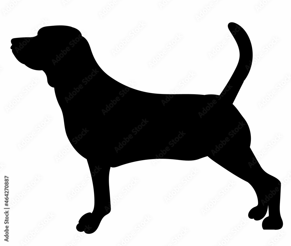 dog silhouette vector, isolated, on white background