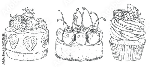 Set of three hand drawn sketches of different cakes with fresh berries: cupcake witn blackberry and cheesecakes with strawberry and cherry. Outline vector illustration menu on white background.
