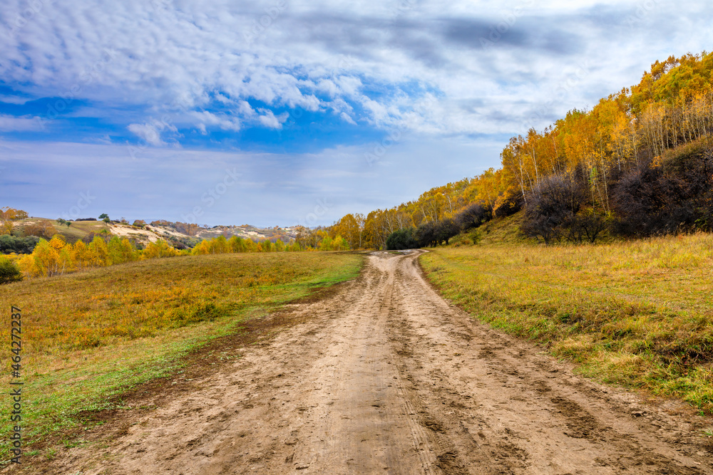Country dirt road and trees landscape in autumn.