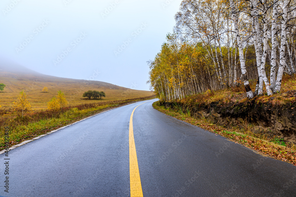 Asphalt road and autumn forest landscape on a cloudy day.Asphalt road and tree scene after rain.