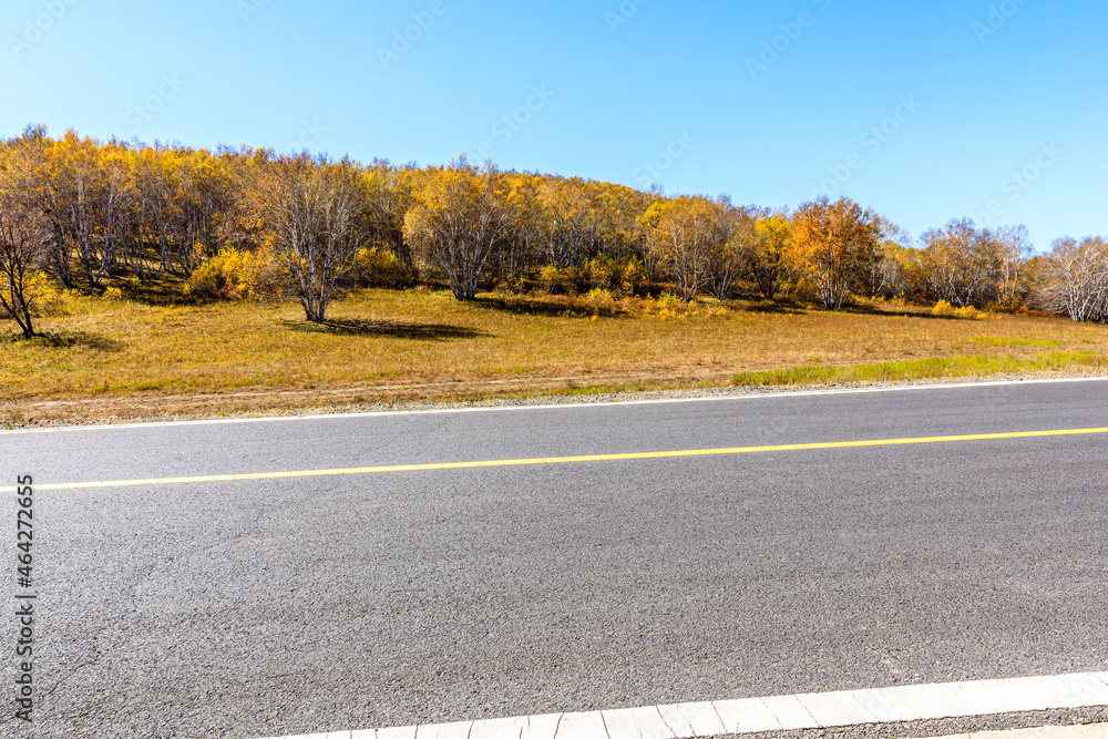 Fototapeta premium Empty asphalt road and autumn forest landscape.Road and trees background.