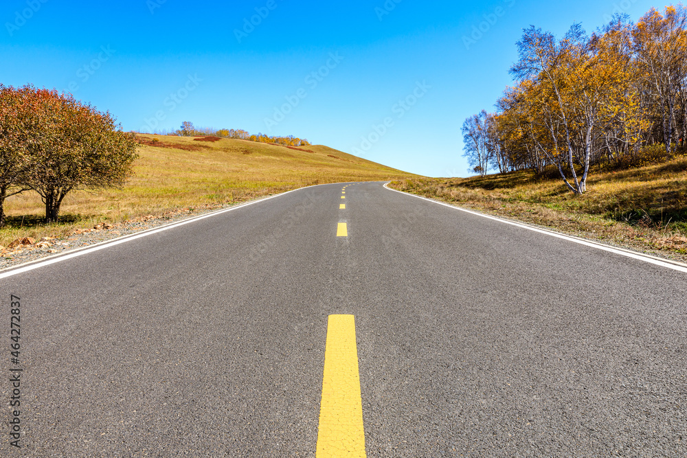 Empty asphalt road and autumn forest landscape.Road and trees background. Empty asphalt road and autumn forest landscape.Road and trees background.