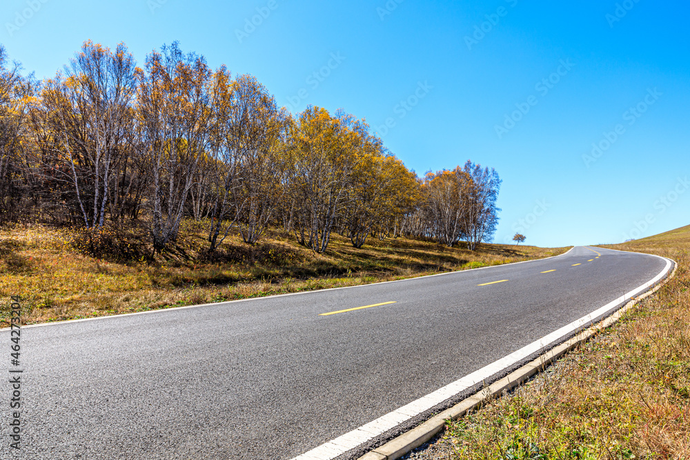 Fototapeta premium Empty asphalt road and autumn forest landscape.Road and trees background.