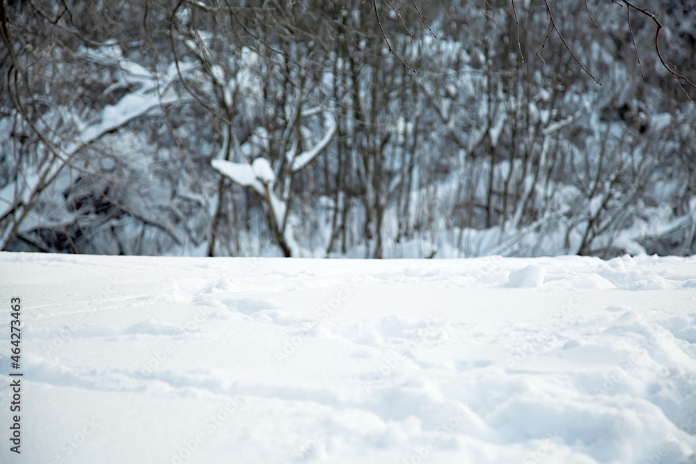 Snow-covered field with a forest background. Winter background for design. Snow-covered field with a forest background. Winter background for design.