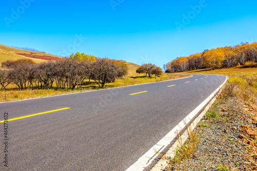 Empty asphalt road and autumn forest landscape.Road and trees background.
