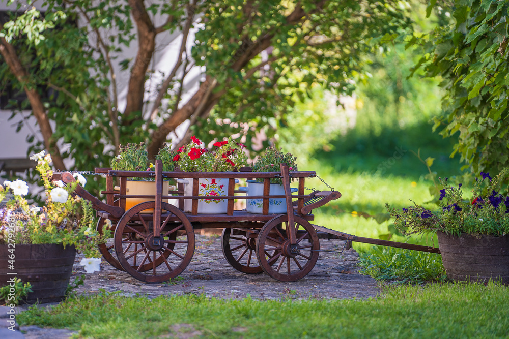 Garden composition with wooden rustic cart with bright flowers in the yard, Hungary