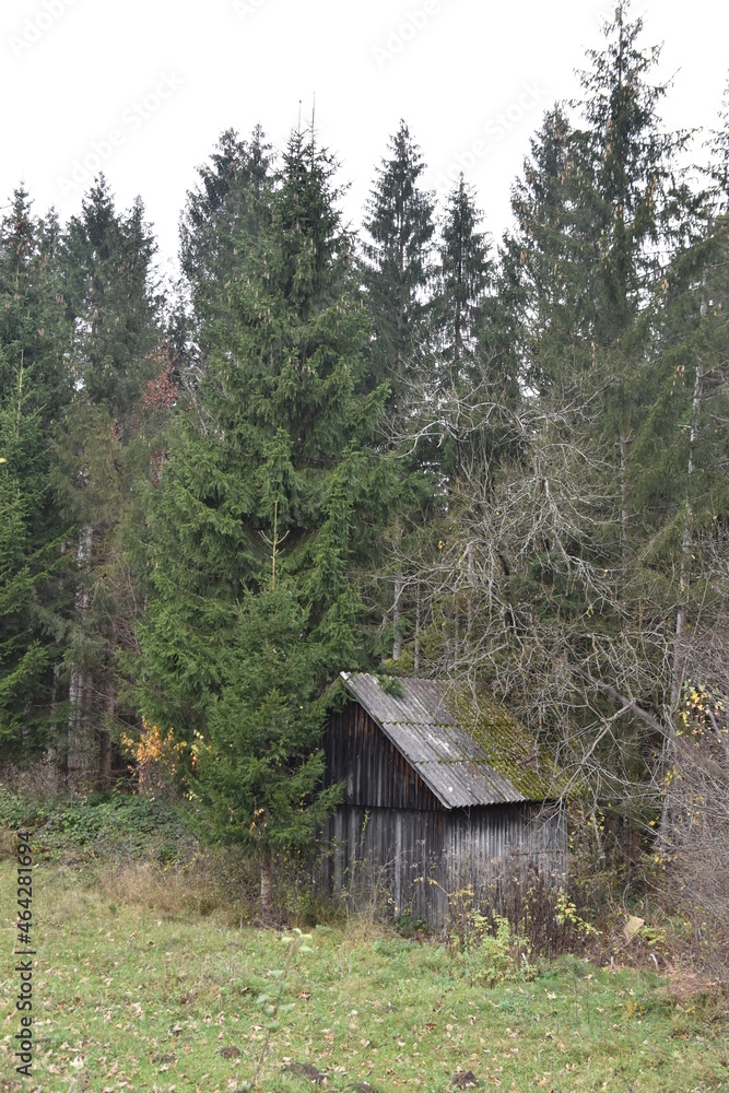 cabin in the woods | rustic log cabin in forest | old wooden barn | pine tree forest cabin in the woods | rustic log cabin in forest | old wooden barn | pine tree forest
