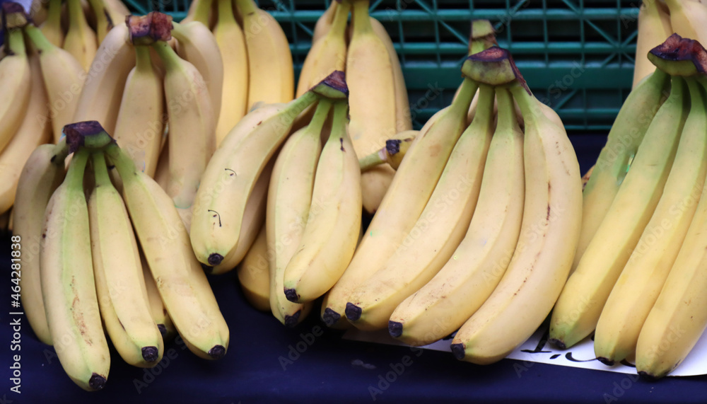 group of vegetable bananas
