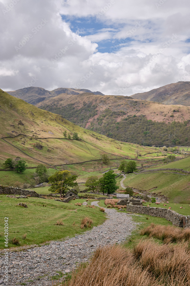 Footpath down to Hartsop from Hayeswater, Hartsop above How, Dove Crag and Hart Crag  on the horizon, Lake District, UK