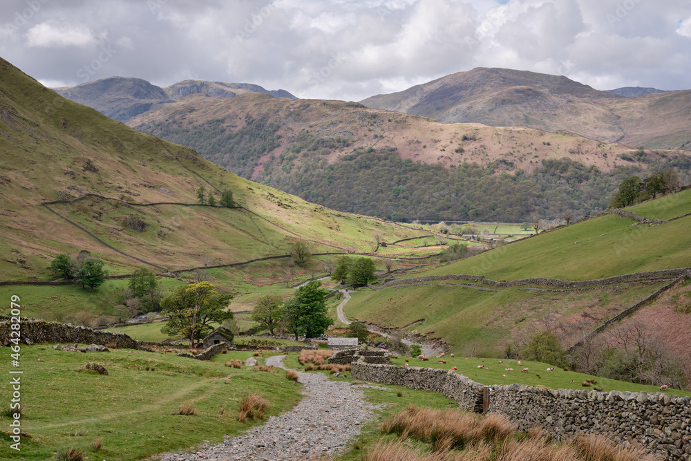 Footpath down to Hartsop from Hayeswater, Hartsop above How, Dove Crag and St Sunday Crag on the horizon, Lake District, UK